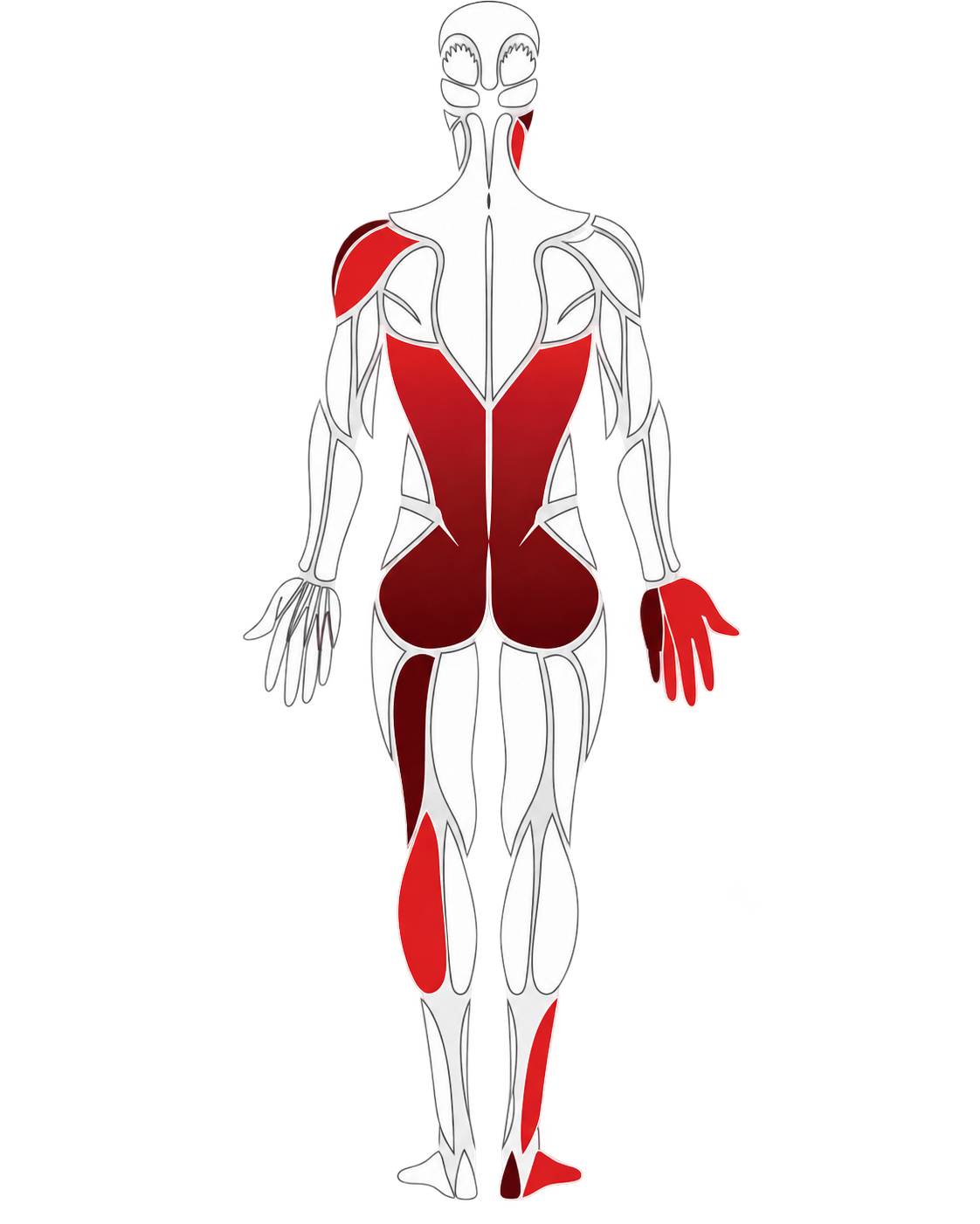 Human Anatomy Pain Map